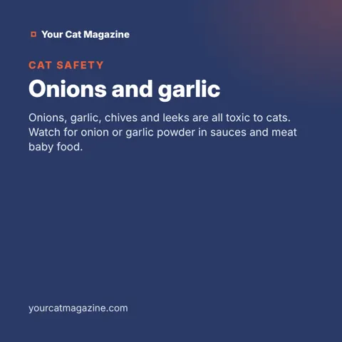 Onions and garlic