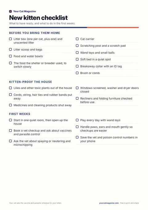 New kitten checklist